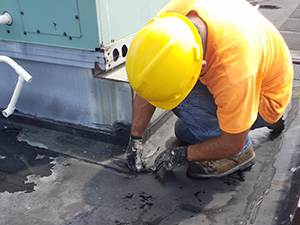 Roof Repair Services1