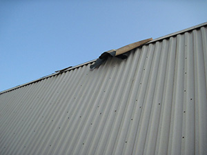 Damaged Roof`