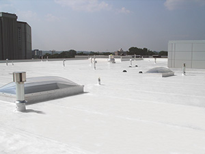 Single-Ply Roof Replacement Services