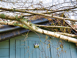 Damaged Roof 